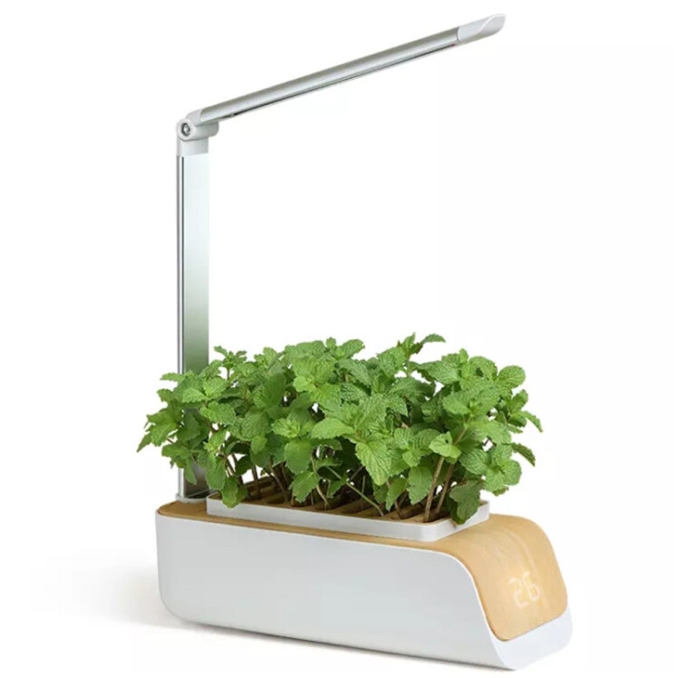 گلدان هوشمند کشت هیدروپونیک