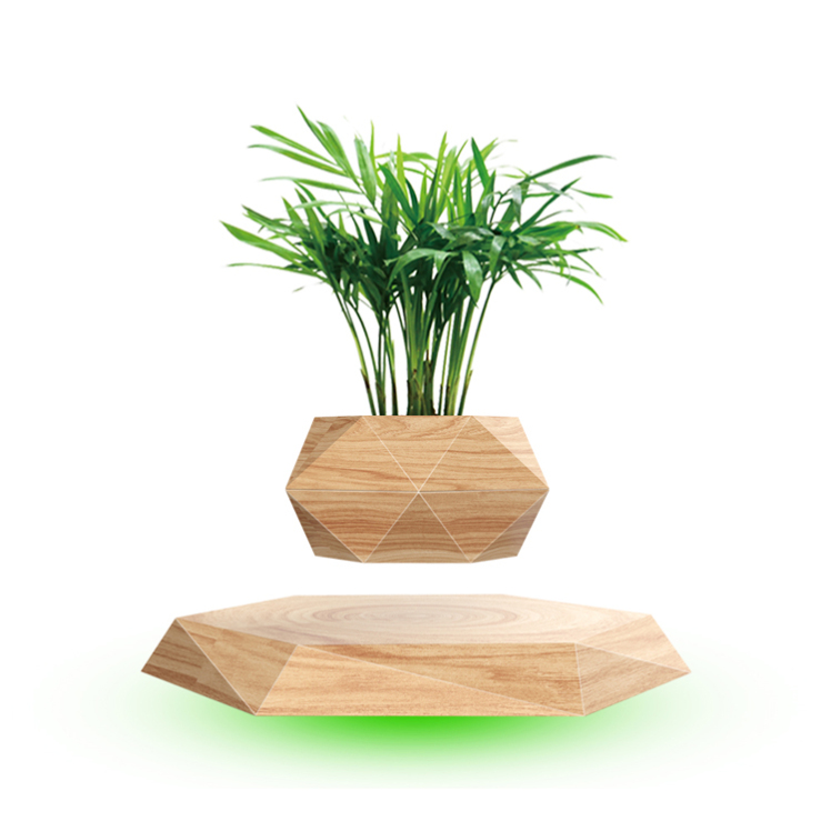 گلدان معلق مدل Levitation